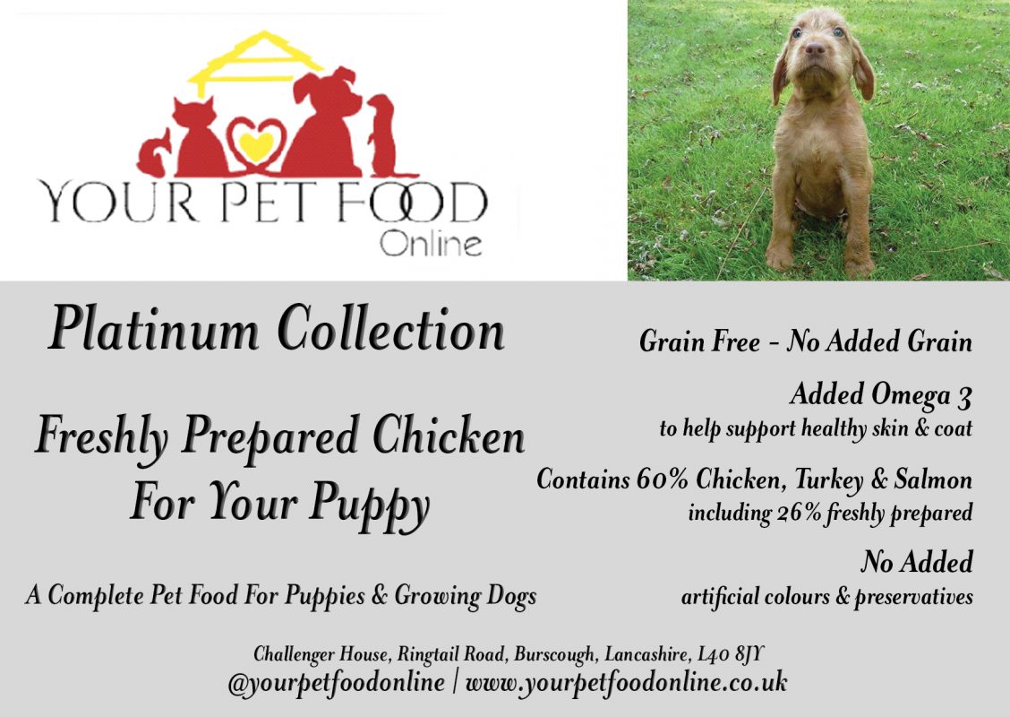 Freshly Prepared Grain Free Chicken for Your Puppy Your Pet Food Online