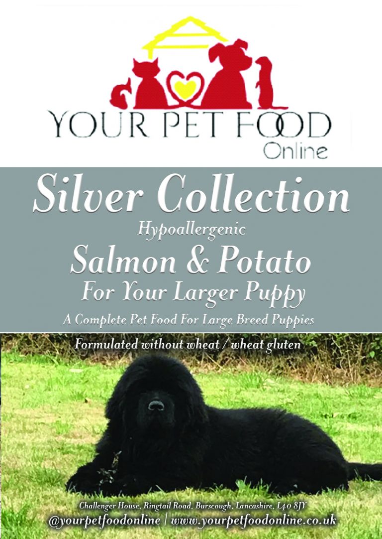 Hypoallergenic Salmon & Potato for Your Larger Puppy Your Pet Food Online