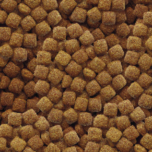 Your Working Dog Chicken Dinner - Image 2