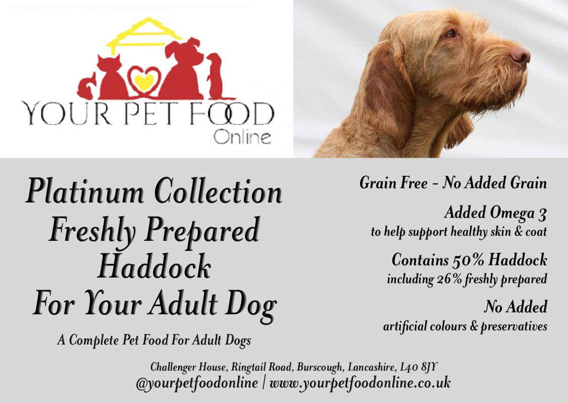Freshly Prepared Grain Free Haddock for Your Adult Dog Your Pet Food