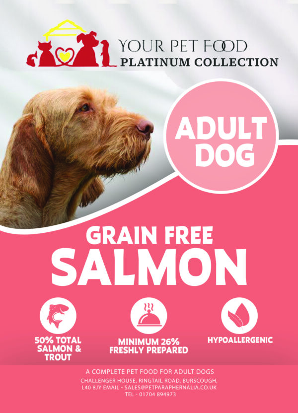 Grain Free Freshly Prepared Salmon for Your Adult Dog