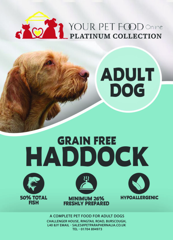Grain Free Freshly Prepared Haddock for Your Adult Dog
