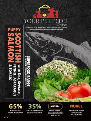 Superfoods Range Salmon for Your Puppy
