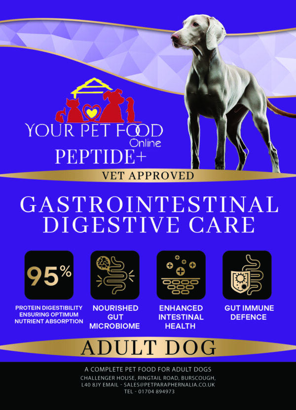 Peptide+ Gastrointestinal Digestive Care