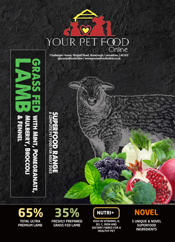 Superfoods Range Lamb for Your Adult Dog