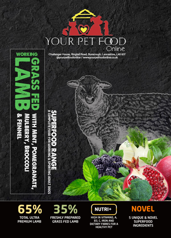 Alternative view of Superfoods Range Lamb for Your Adult Dog