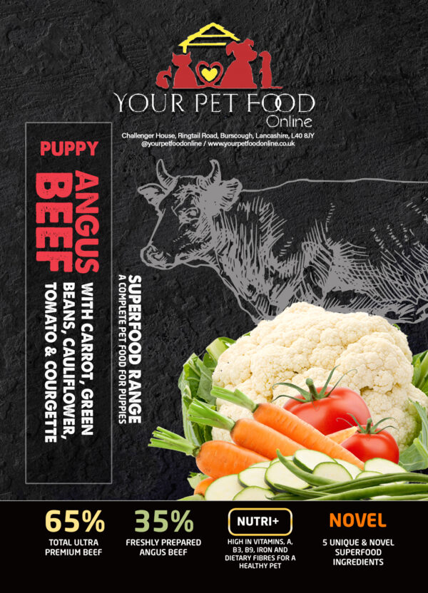 Superfoods Range Beef for Your Puppy