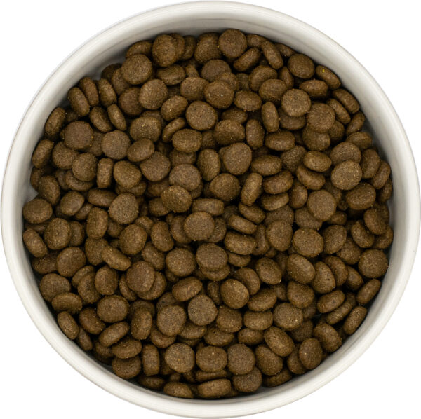 Alternative view of Connoisseur Cat Salmon with White Fish for your Cat