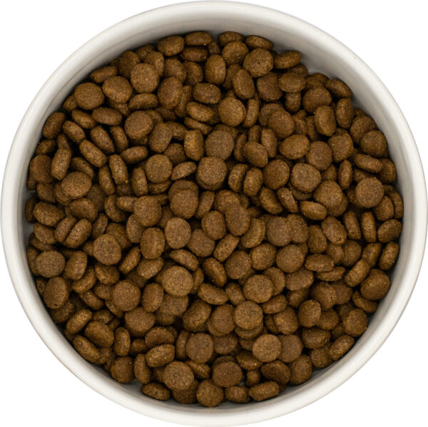 Alternative view of Connoisseur Cat Turkey & Chicken for your Kitten